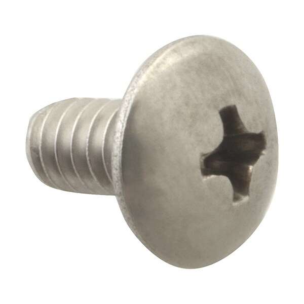 Screw, Mach/Th/Ss (100)
